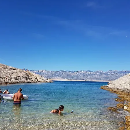 Deni Nin * Vrsi