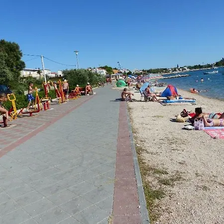 Deni Nin * Vrsi