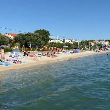 Deni Nin Vrsi